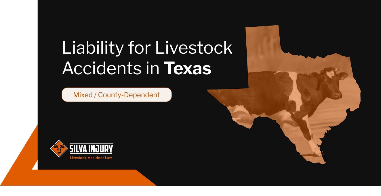 I Hit a Cow on the Road in Texas - Who is Liable?